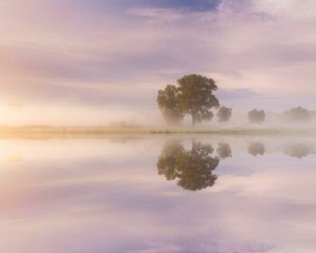 Tranquil landscape to represent mindfulness and inner calm.